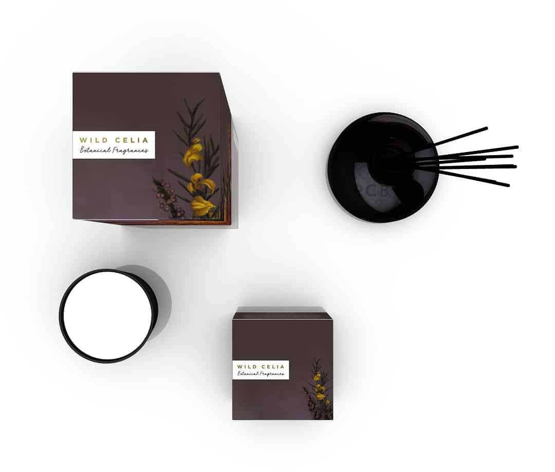 Plan view of botanical fragranced candle and reed diffuser home fragrance design by Paul Cartwright Branding.