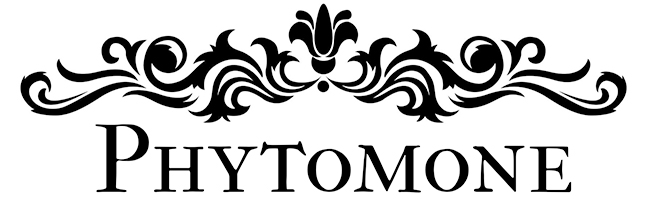 Existing logo from Phytomone menopause targeted skincare brand.