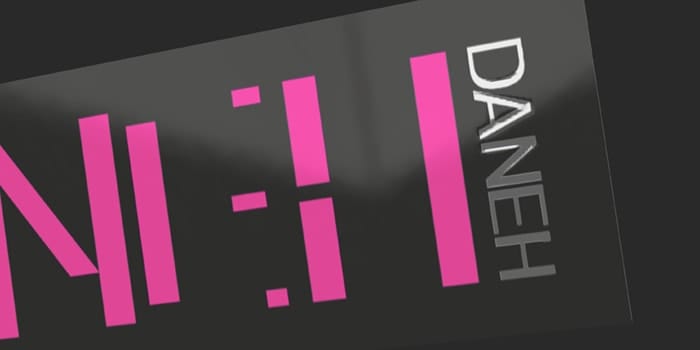 Daneh – fashion designer logo design.